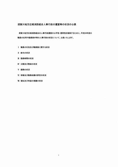 s-人事行政公表様式（平成30年）.jpg